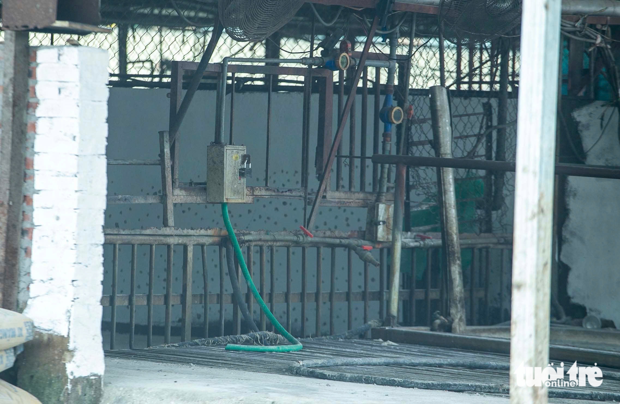 Hanoi slaughterhouse shut down after 300-tonne diseased pork scandal - Ảnh 6.