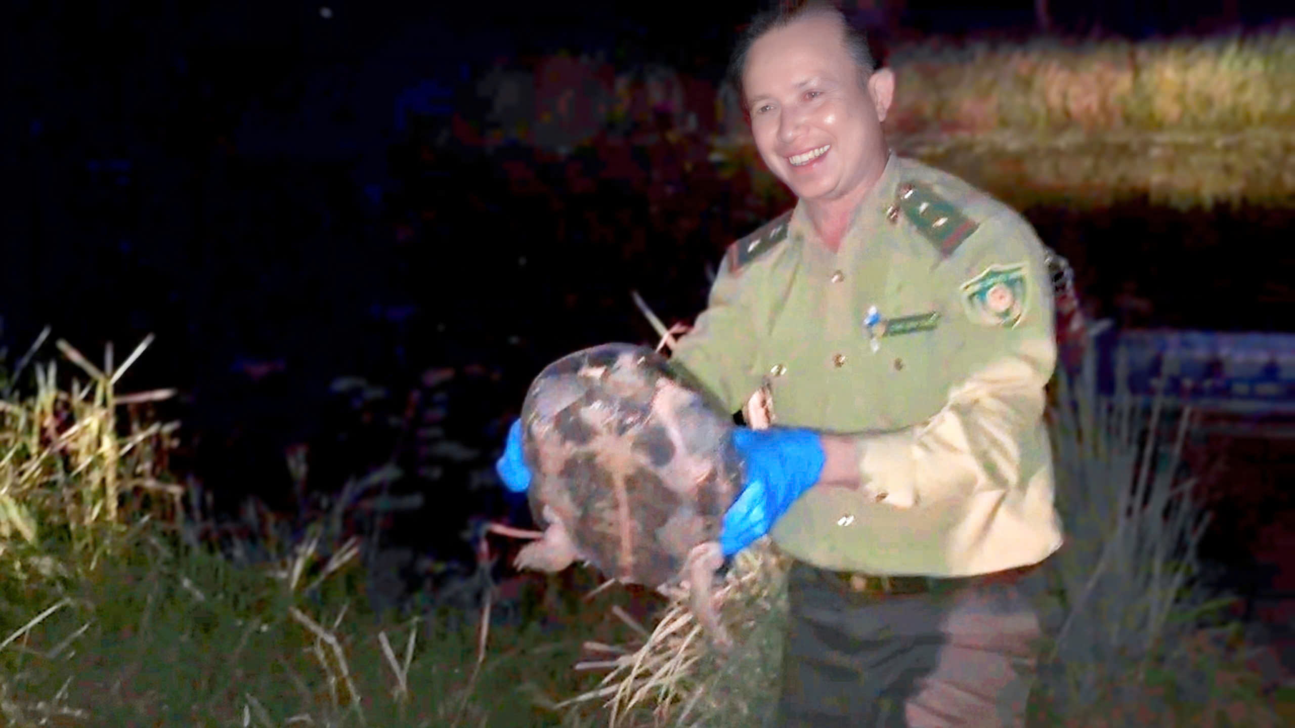 144 wild animals released into Vietnam national park - Ảnh 3.