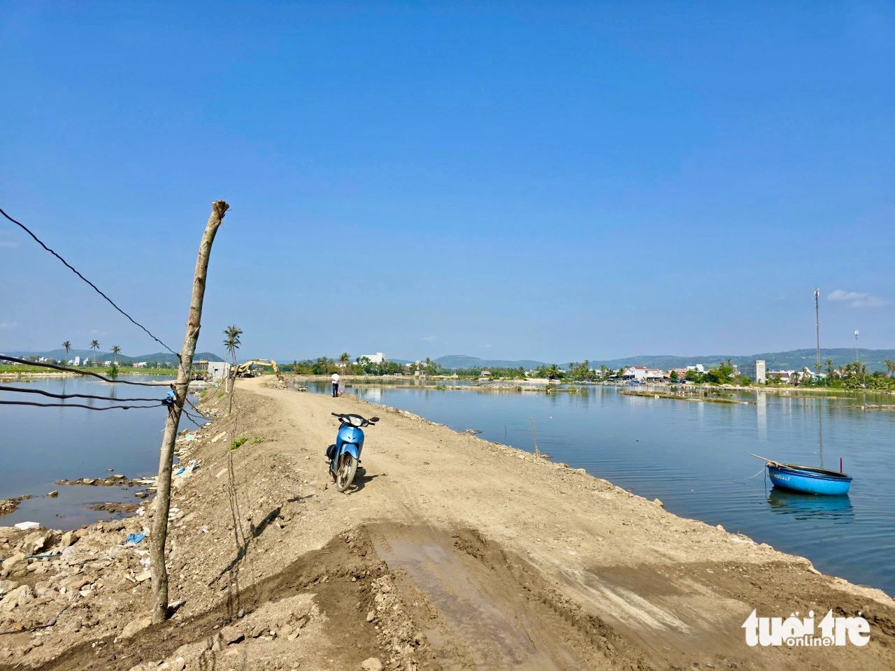 Ruộng đồng bỏ hoang vì nhiễm mặn - Ảnh 5.