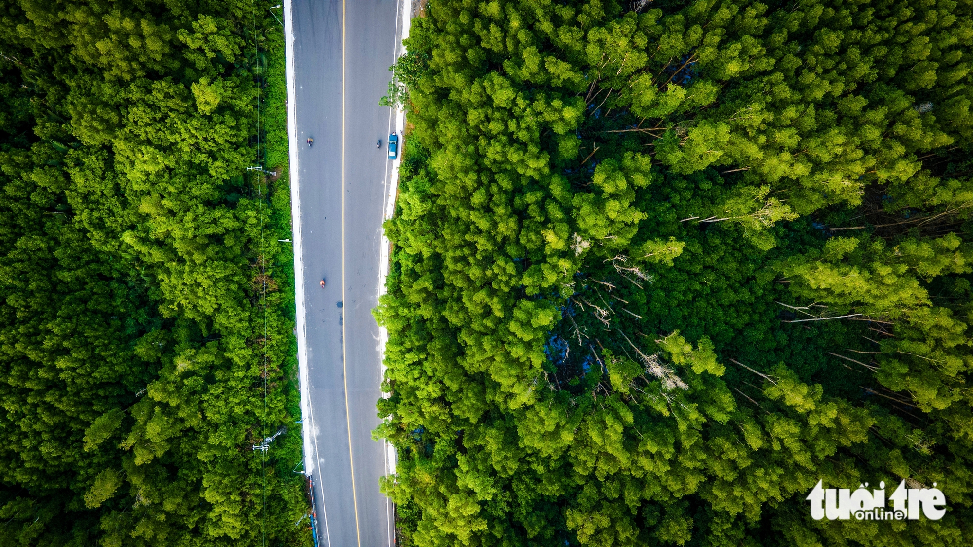 Vingroup proposes $721mn expansion of Rung Sac road to 10 lanes in Ho Chi Minh City- Ảnh 8.