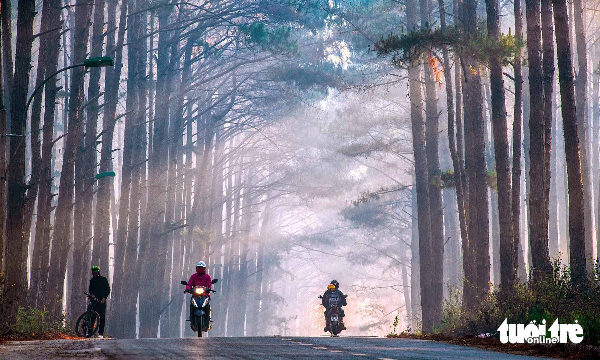 đà lạt - Ảnh 1.