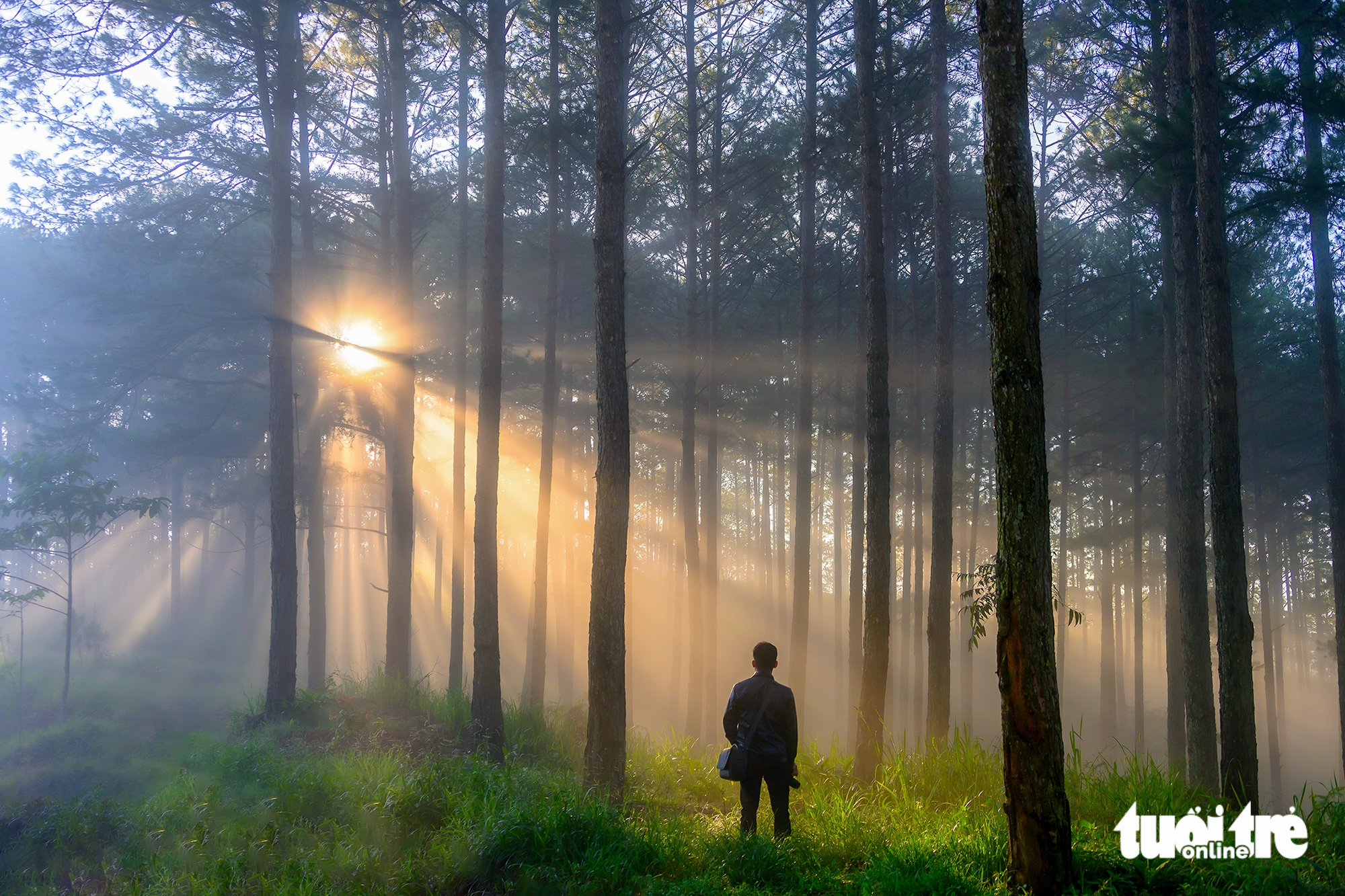 đà lạt - Ảnh 3.