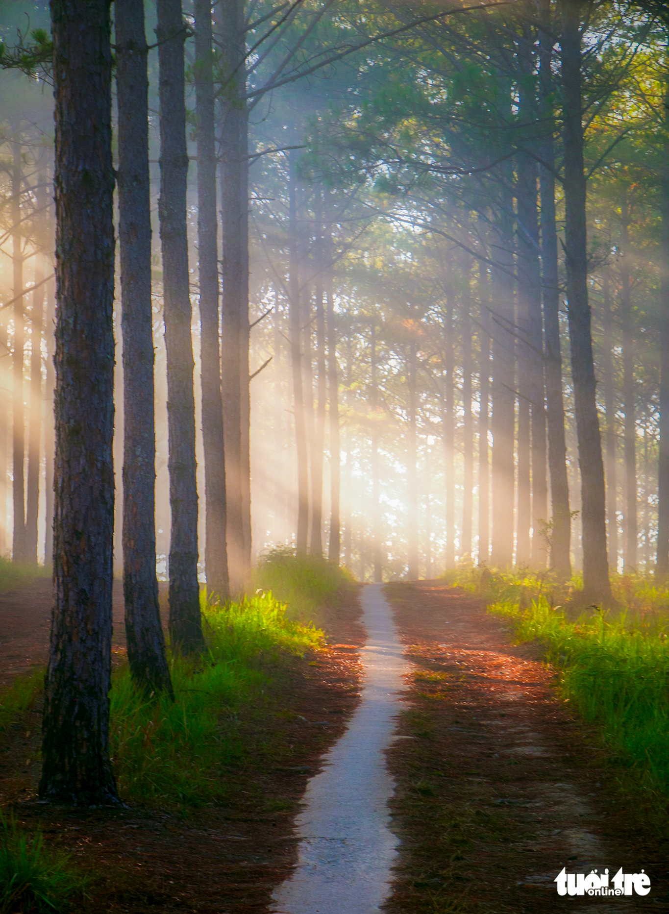 Những cung đường bồng bềnh Đà Lạt mùa săn mây - Ảnh 5.