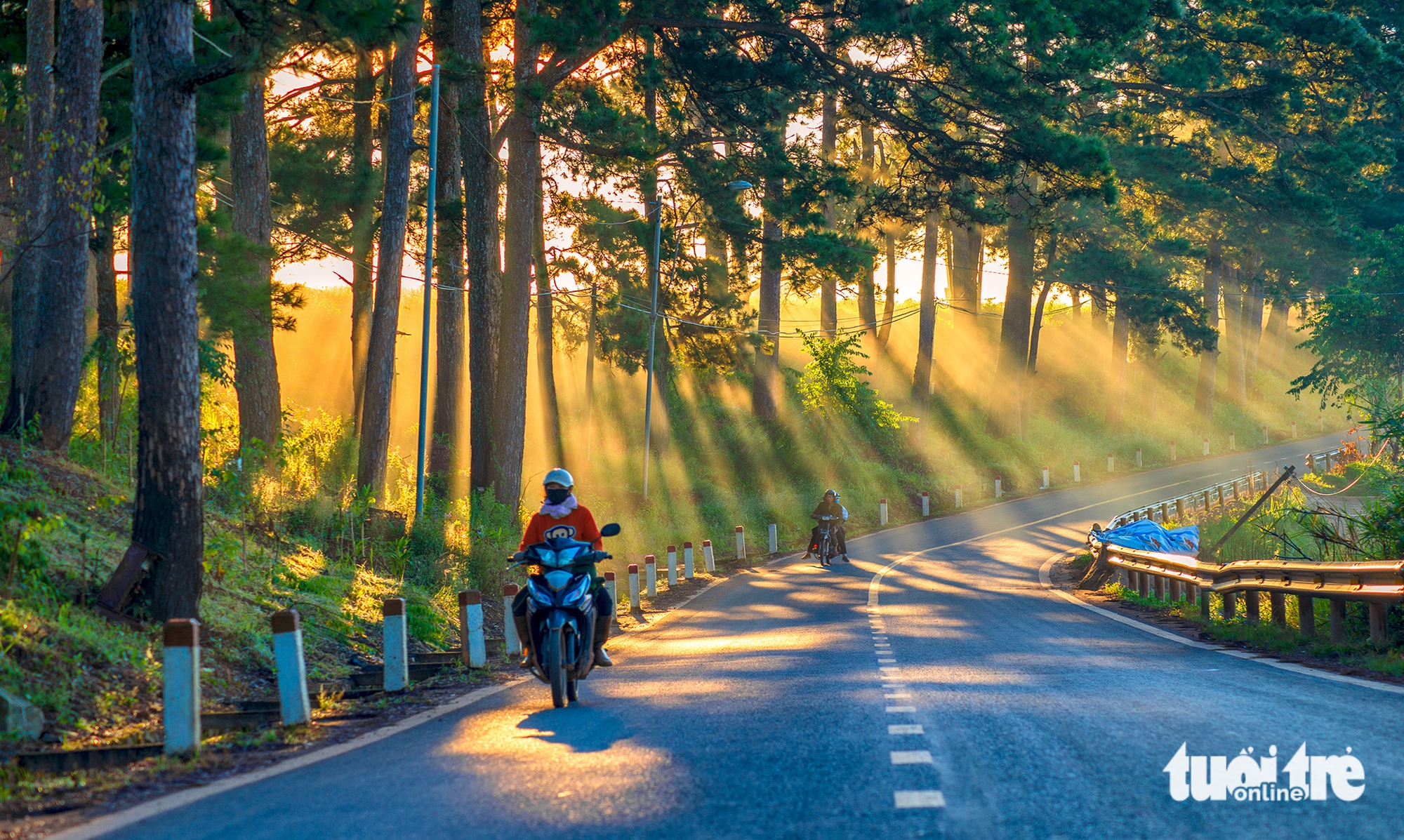 đà lạt - Ảnh 7.