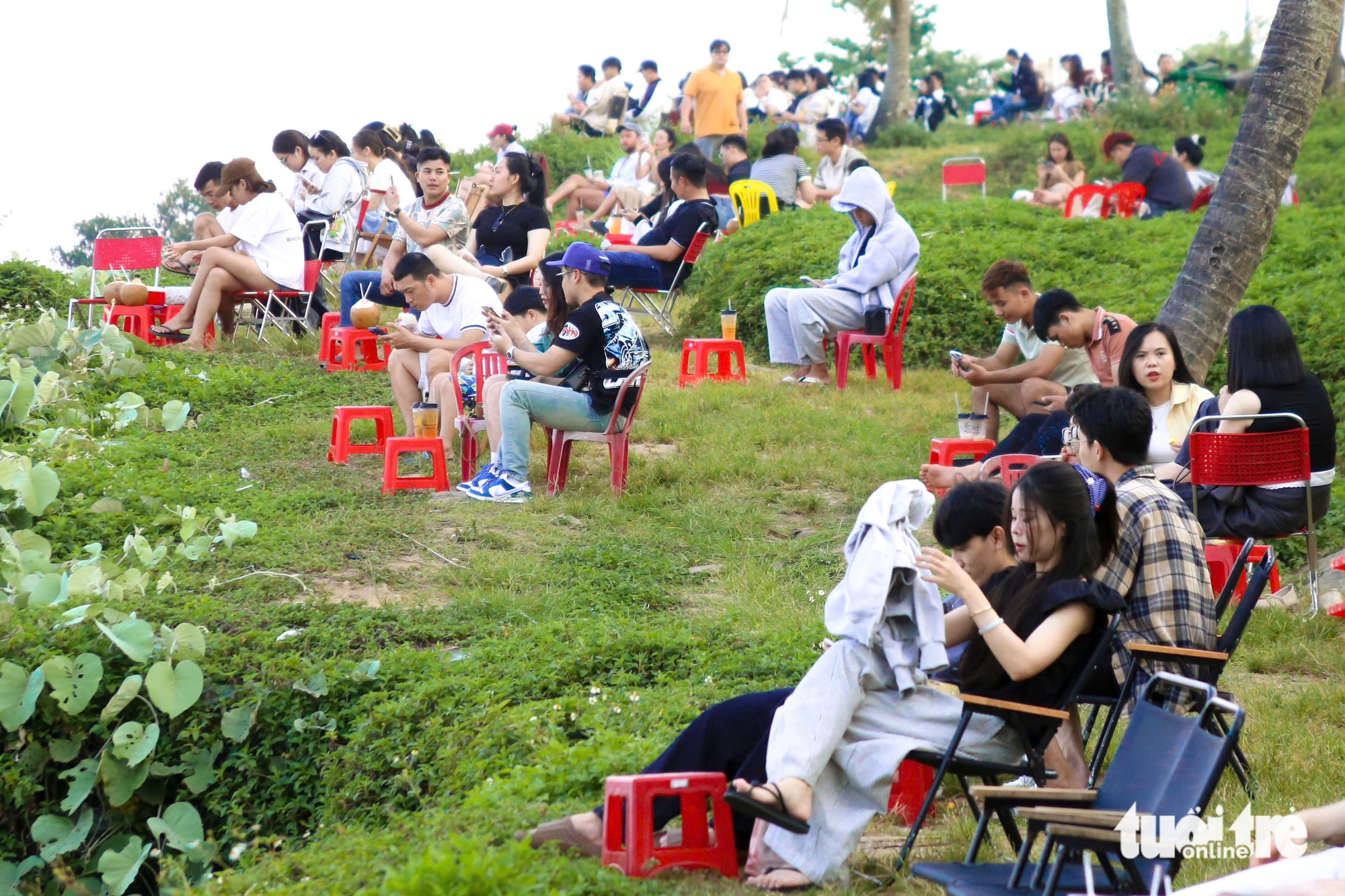 Sơn Trà - Ảnh 9.