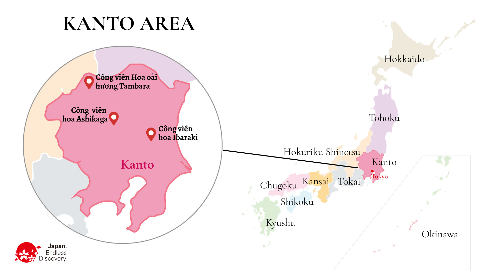 Khám phá mùa hoa rực rỡ tại vùng Kanto, Nhật Bản - Ảnh 4.