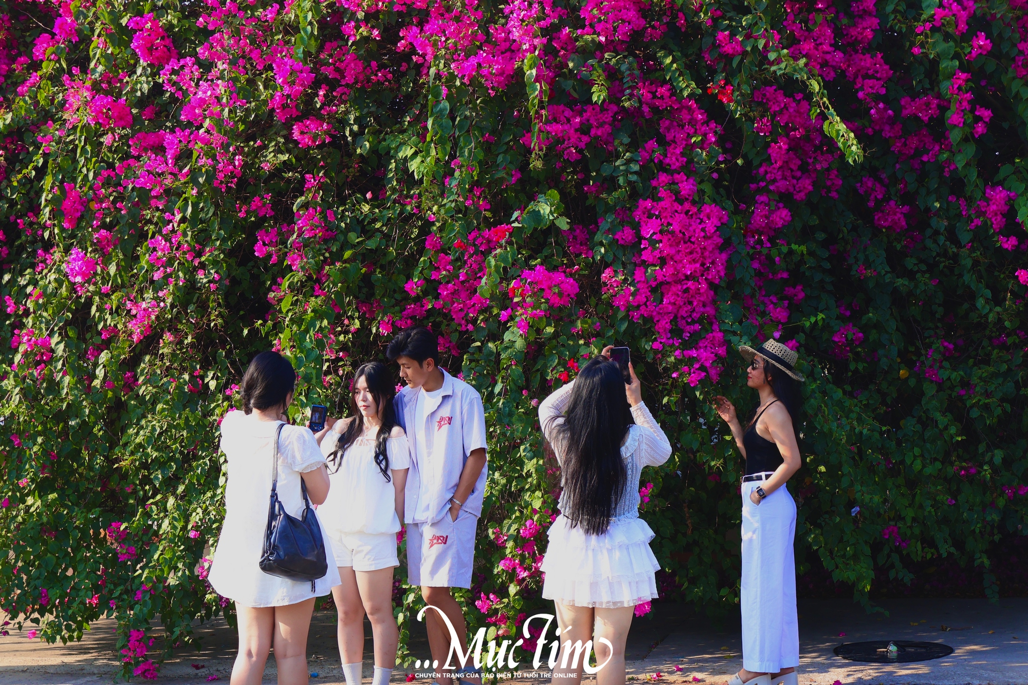 Những 'tọa độ' đón hoàng hôn thơ mộng ở làng đại học - Ảnh 2.