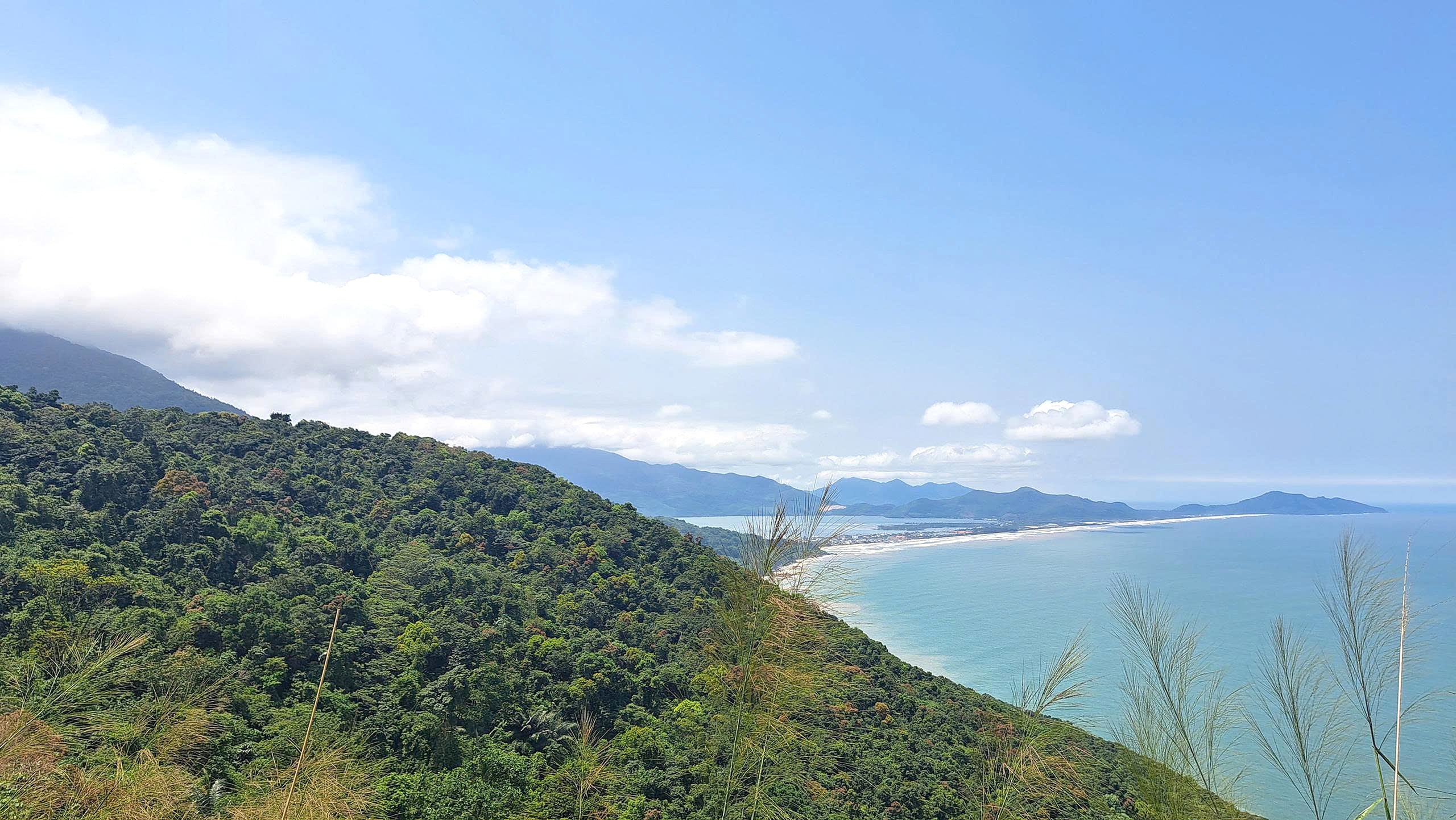 bắc hải vân - Ảnh 3.