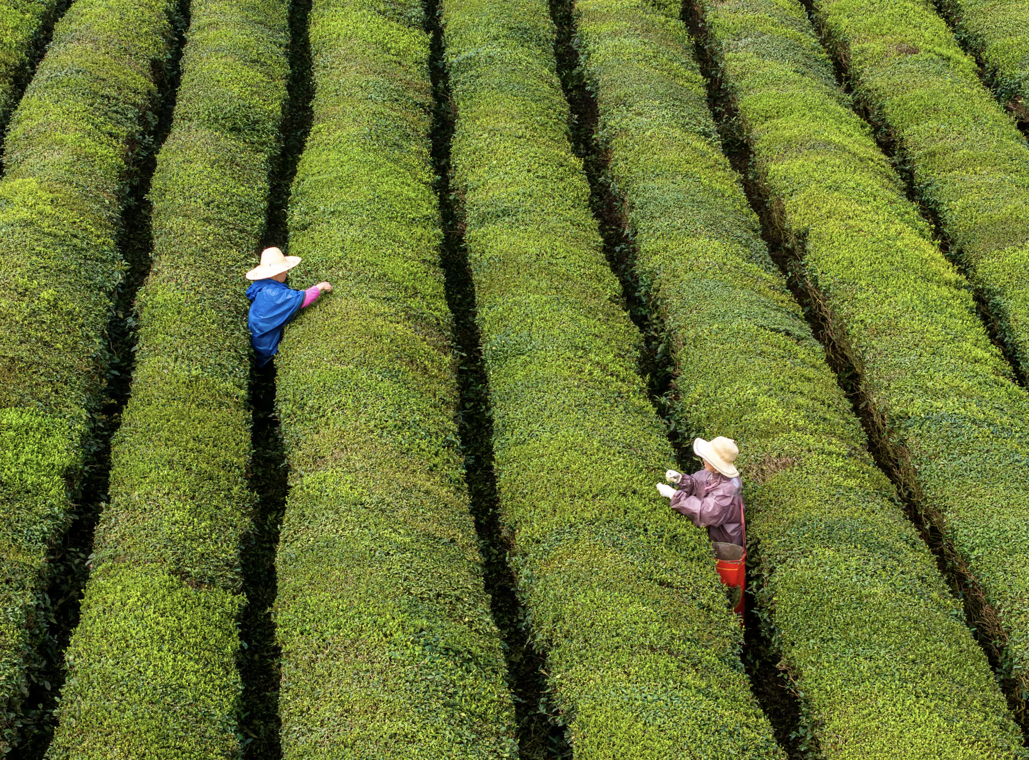 Tin tức thế giới 10-4: Mỹ cảnh báo Iran về việc thu phí qua eo biển Hormuz, Nga ngừng bắn 31 giờ - Ảnh 5.