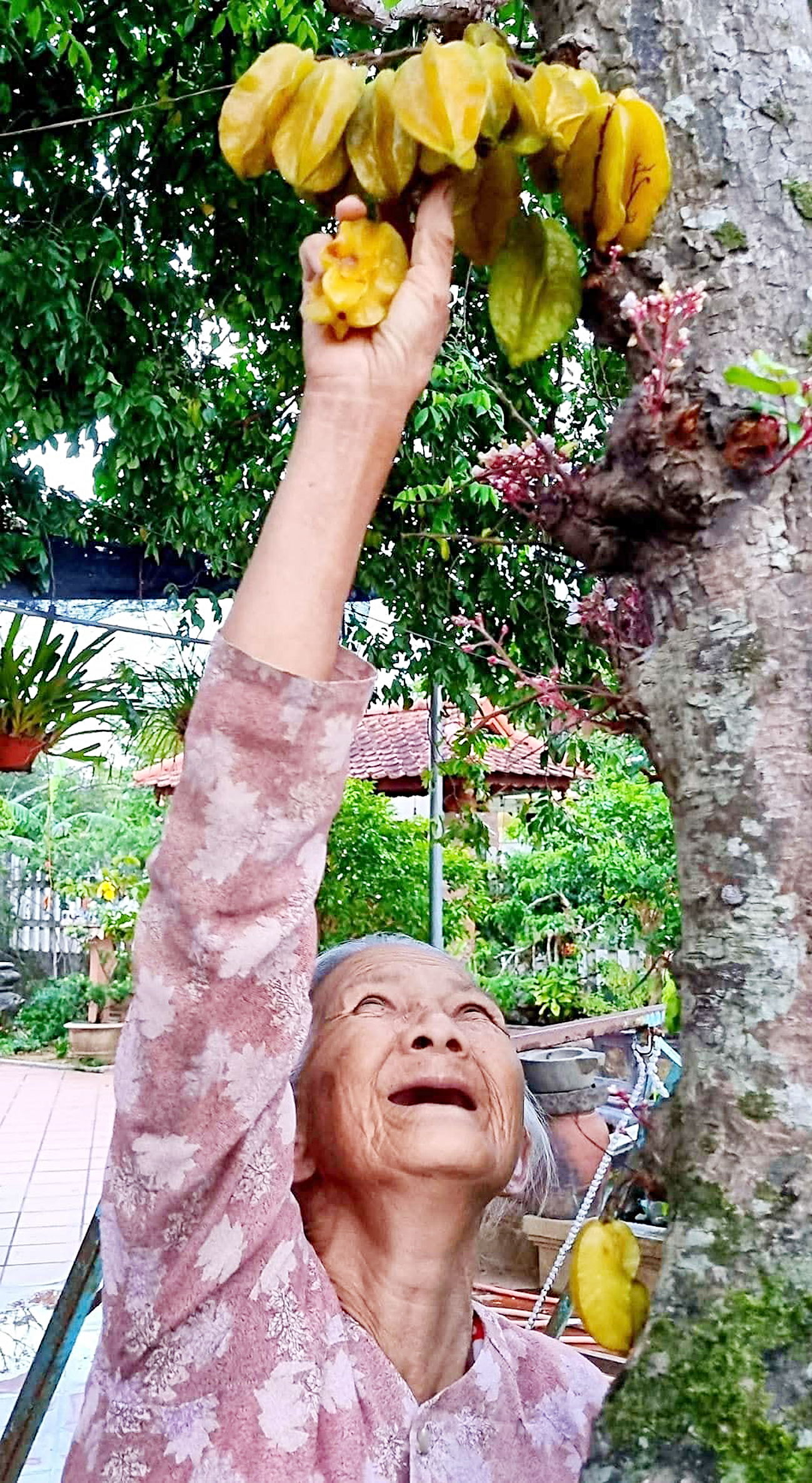 kỷ vật - Ảnh 1.