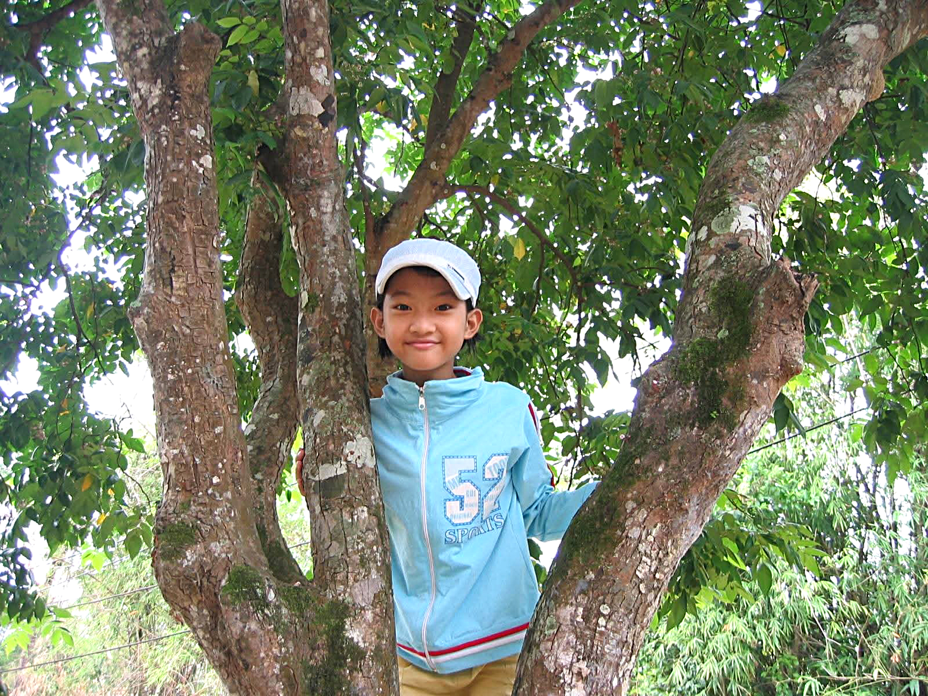 kỷ vật - Ảnh 2.