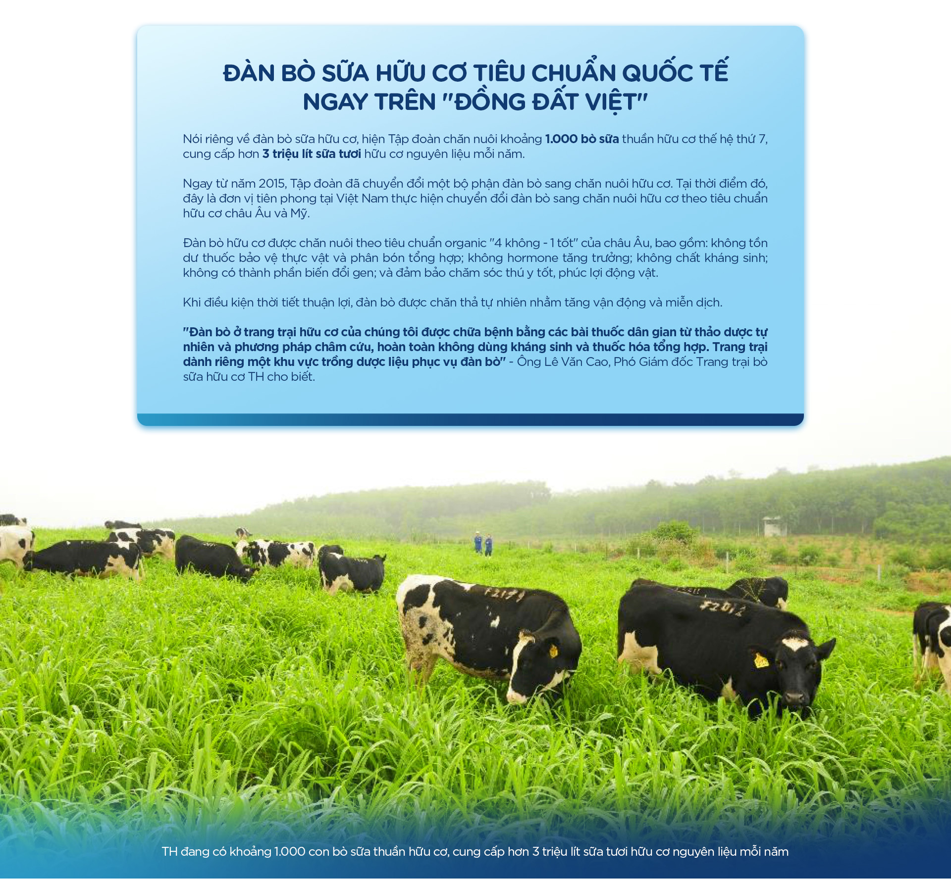 Từ đồng cỏ đến ly sữa: hành trình 12 bước của TH true MILK - Ảnh 8.