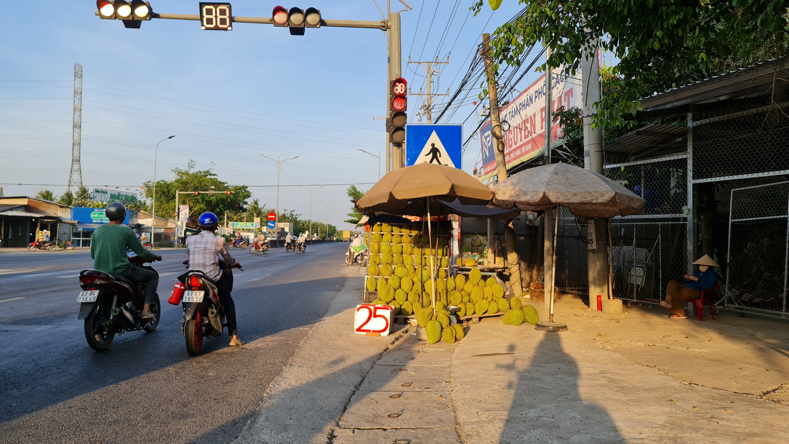 sầu riêng - Ảnh 1.