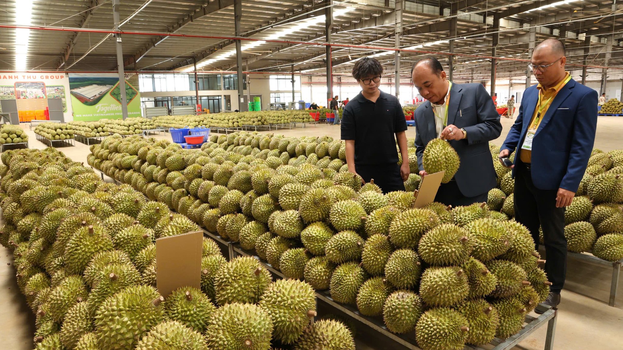 Danh sách mới nhất các phòng kiểm nghiệm Cadimi trong sầu riêng được Trung Quốc công nhận - Ảnh 3.