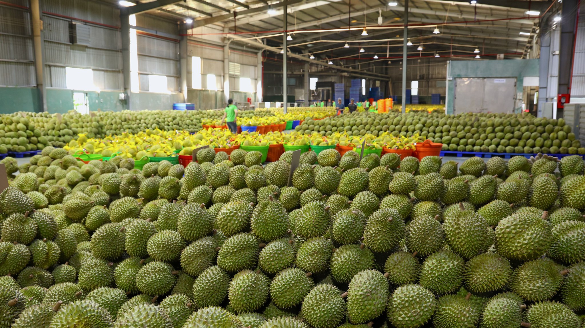Danh sách mới nhất phòng xét nghiệm cadimi và vàng O, 'thủ phủ' sầu riêng Tây Nguyên có mấy phòng? - Ảnh 1.