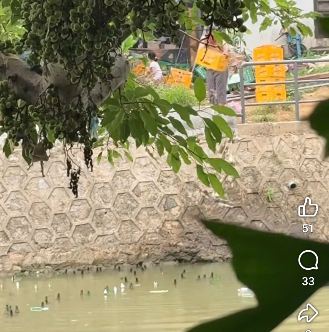 clip - Ảnh 1.