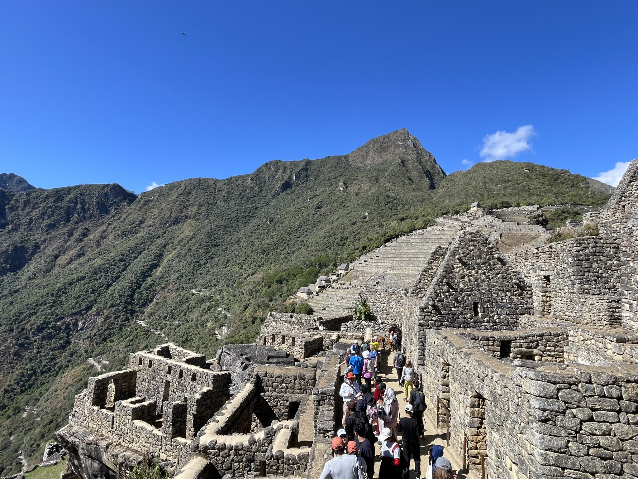 đế chế Inca - Ảnh 2.