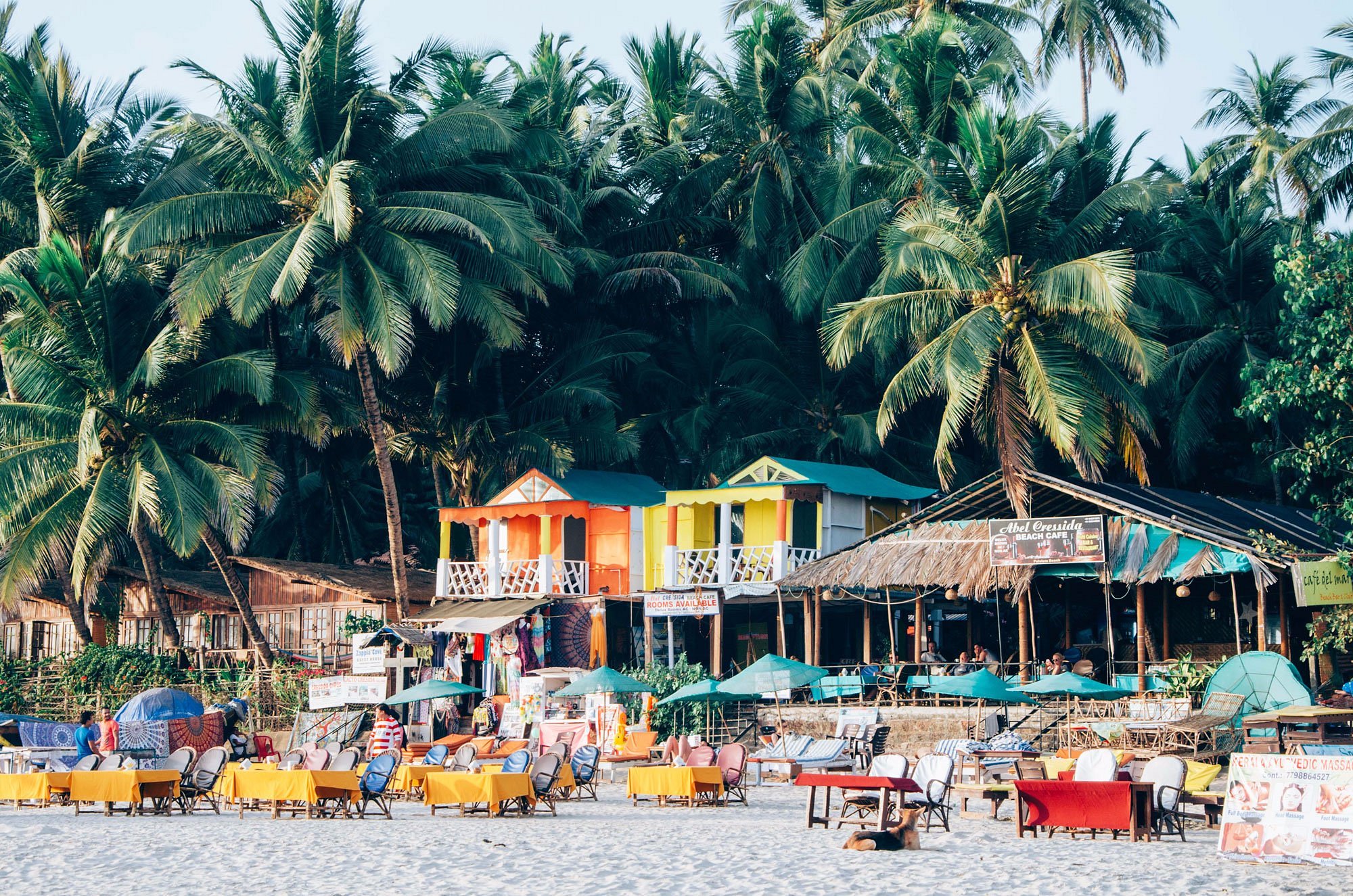 bãi biển - Ảnh 5.