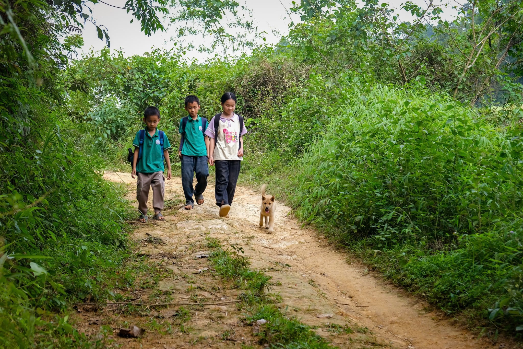 Students brave dangerous bamboo raft rides to school in northern Vietnam as authorities seek funds for safer crossing - Ảnh 10.