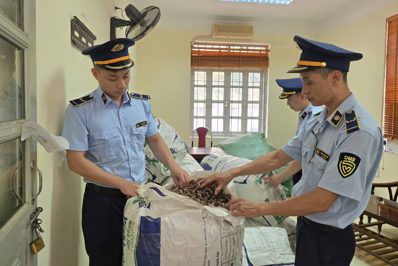 ve sầu - Ảnh 1.