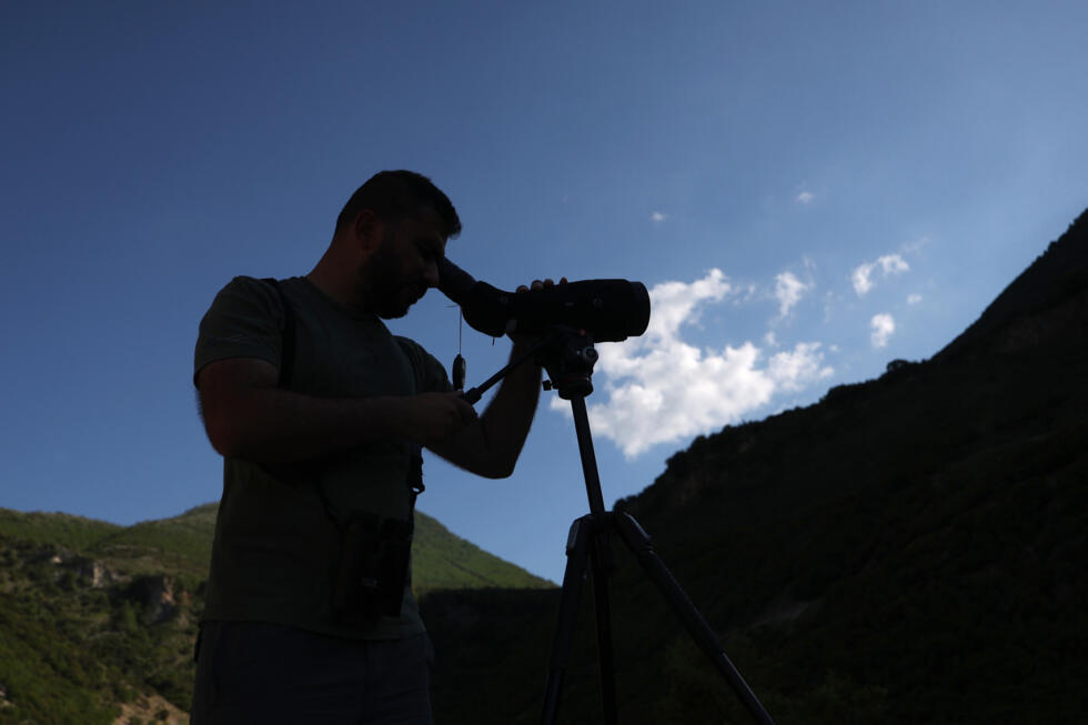 War imperils rare vultures' yearly odyssey to the Balkans- Ảnh 3.
