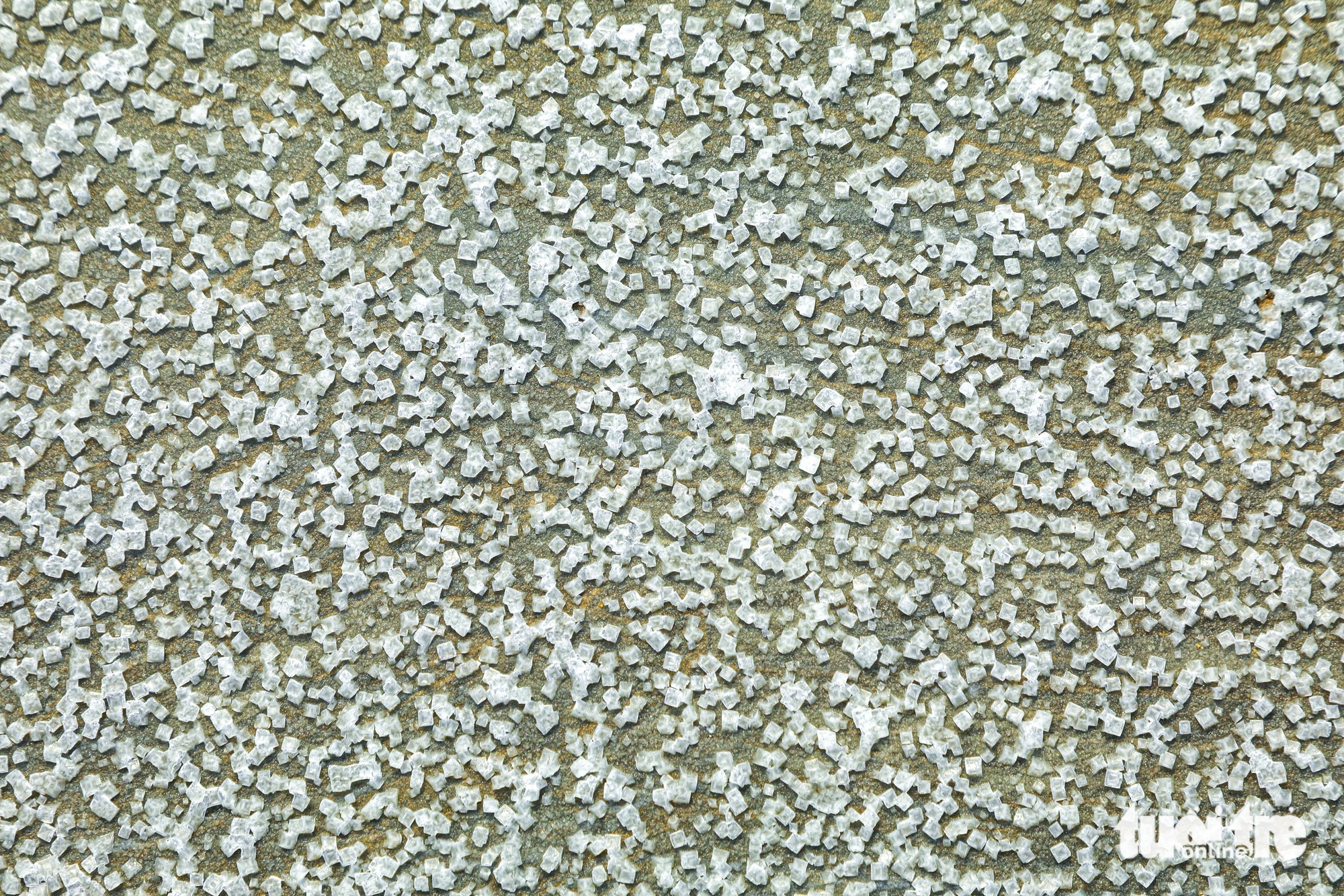 đồng muối - Ảnh 10.