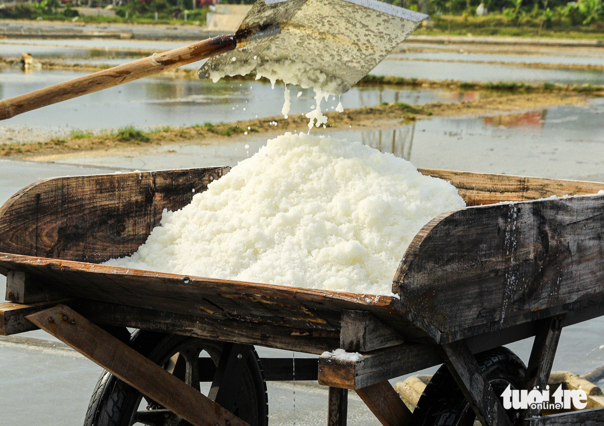 đồng muối - Ảnh 11.