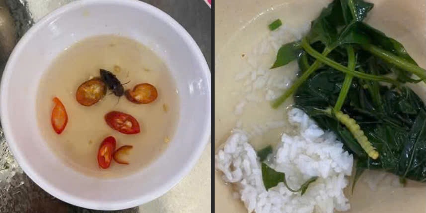 Xác minh thông tin thức ăn của sinh viên ở trung tâm giáo dục quốc phòng có dòi, gián và sâu - Ảnh 1.
