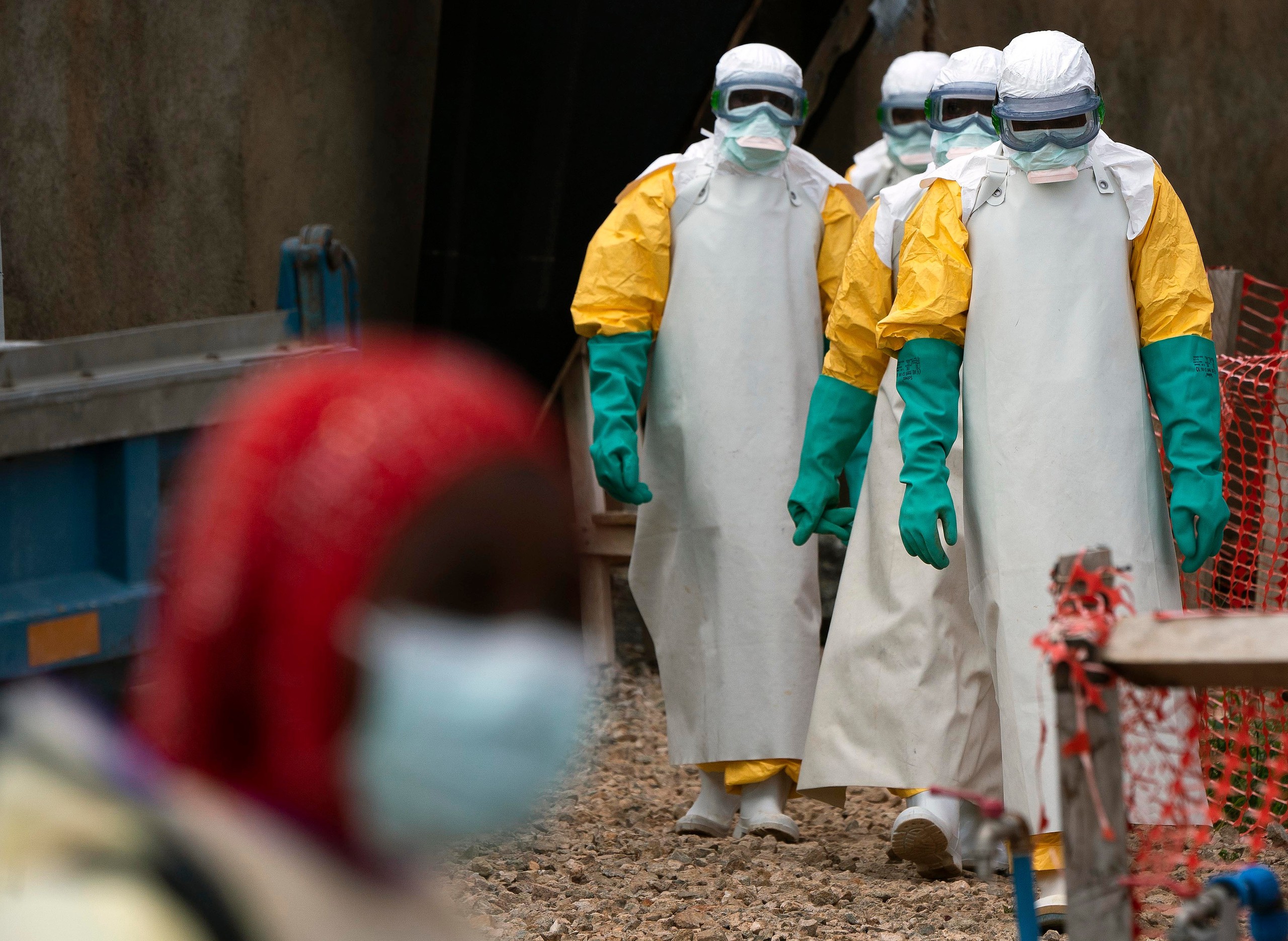 Ebola - Ảnh 2.