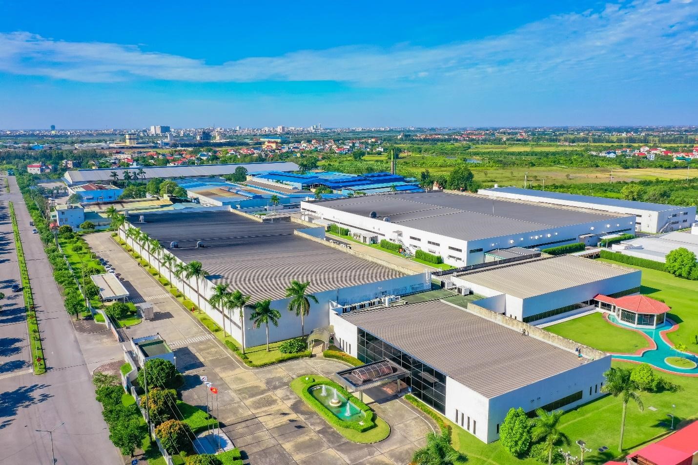 ROX Group - Ảnh 2.