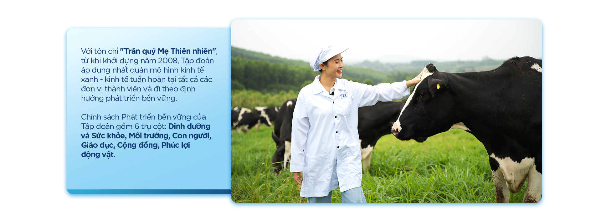 Từ đồng cỏ đến ly sữa: hành trình 12 bước của TH true MILK - Ảnh 14.