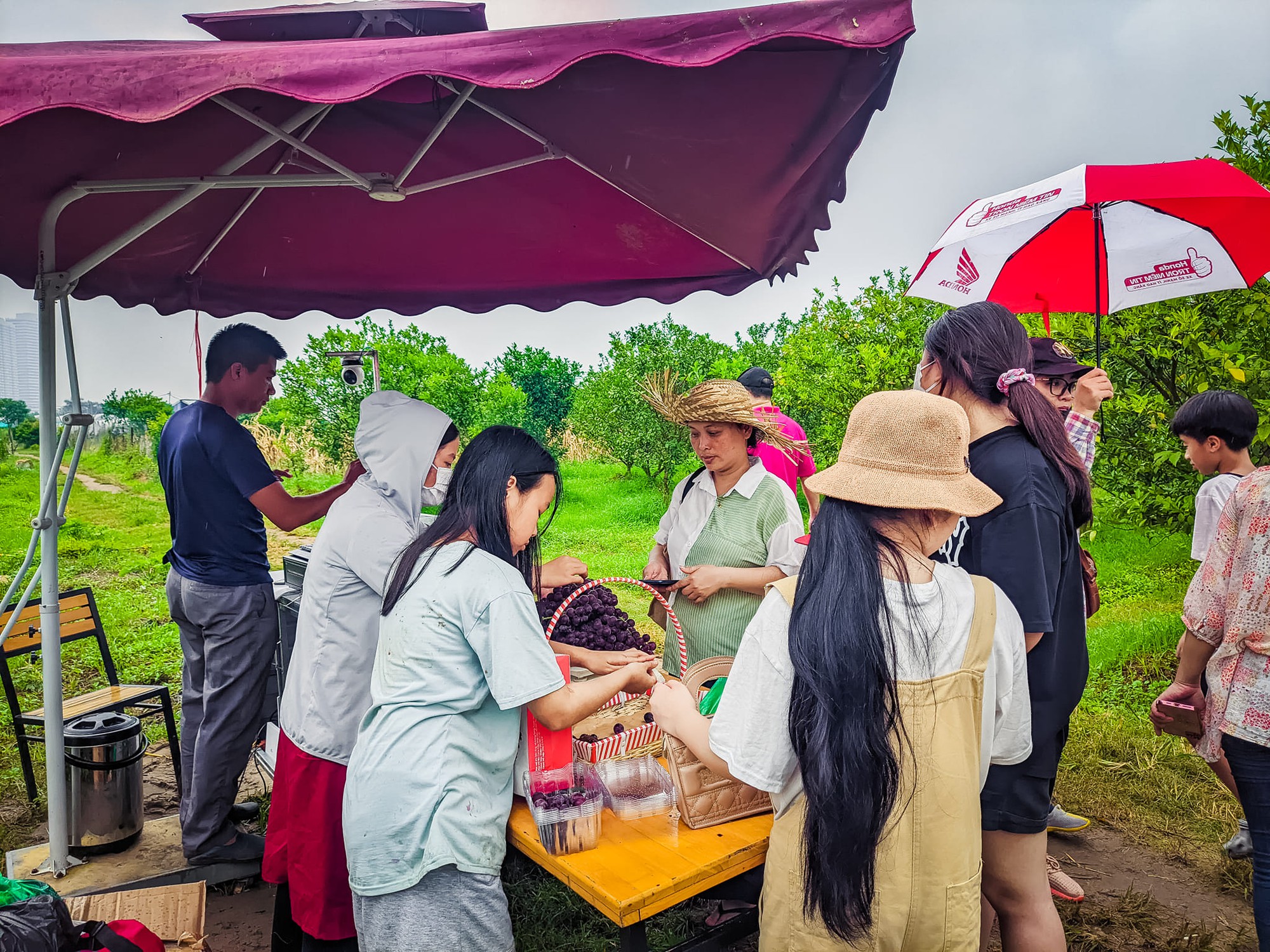 Khám phá du lịch nông nghiệp qua câu chuyện 'nhất nước nhì phân' - Ảnh 1.