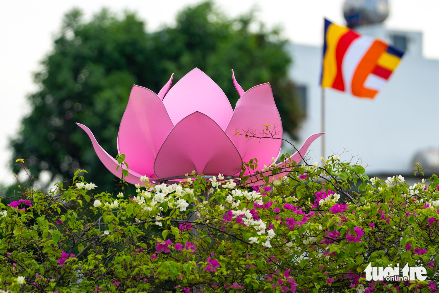 Chùa Pháp Hoa - Ảnh 16.