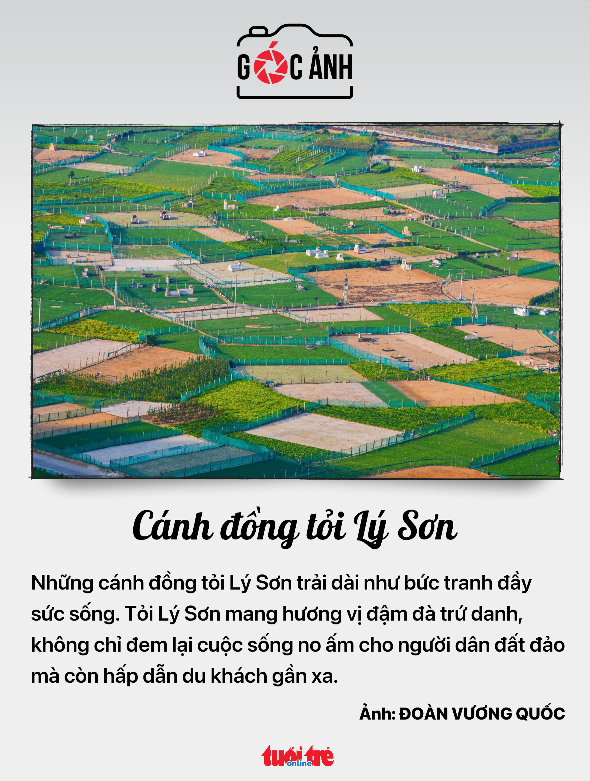 tin tức - Ảnh 8.