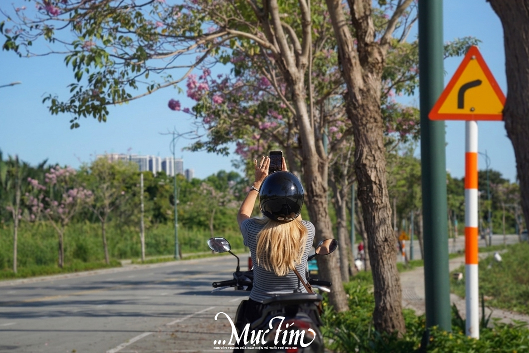 Hoa kèn hồng nở rộ lần hai trong năm tại TP.HCM- Ảnh 6. Hoa kèn hồng nở rộ lần hai trong năm tại TP.HCM- Ảnh 6.