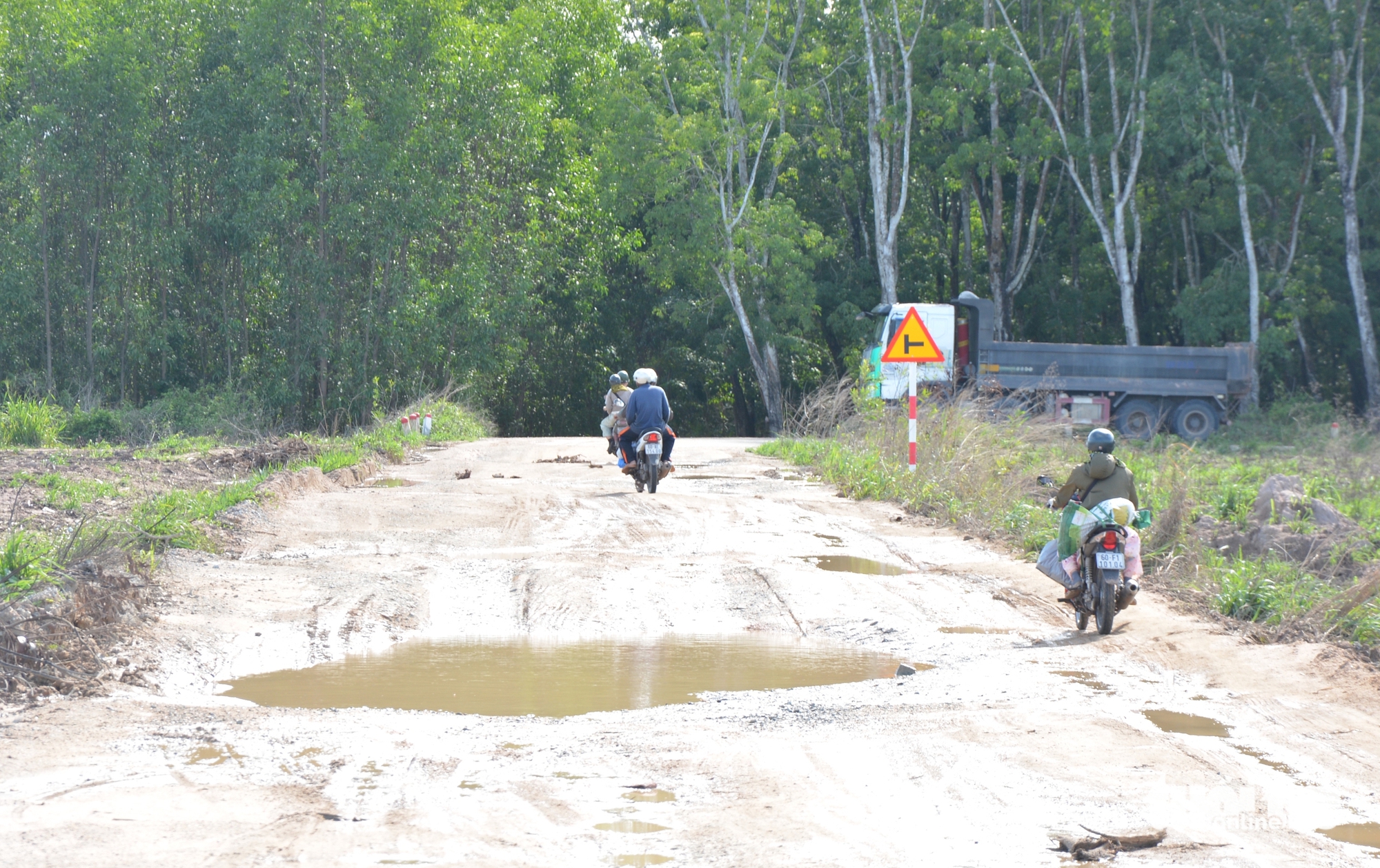 nát bươm - Ảnh 1.