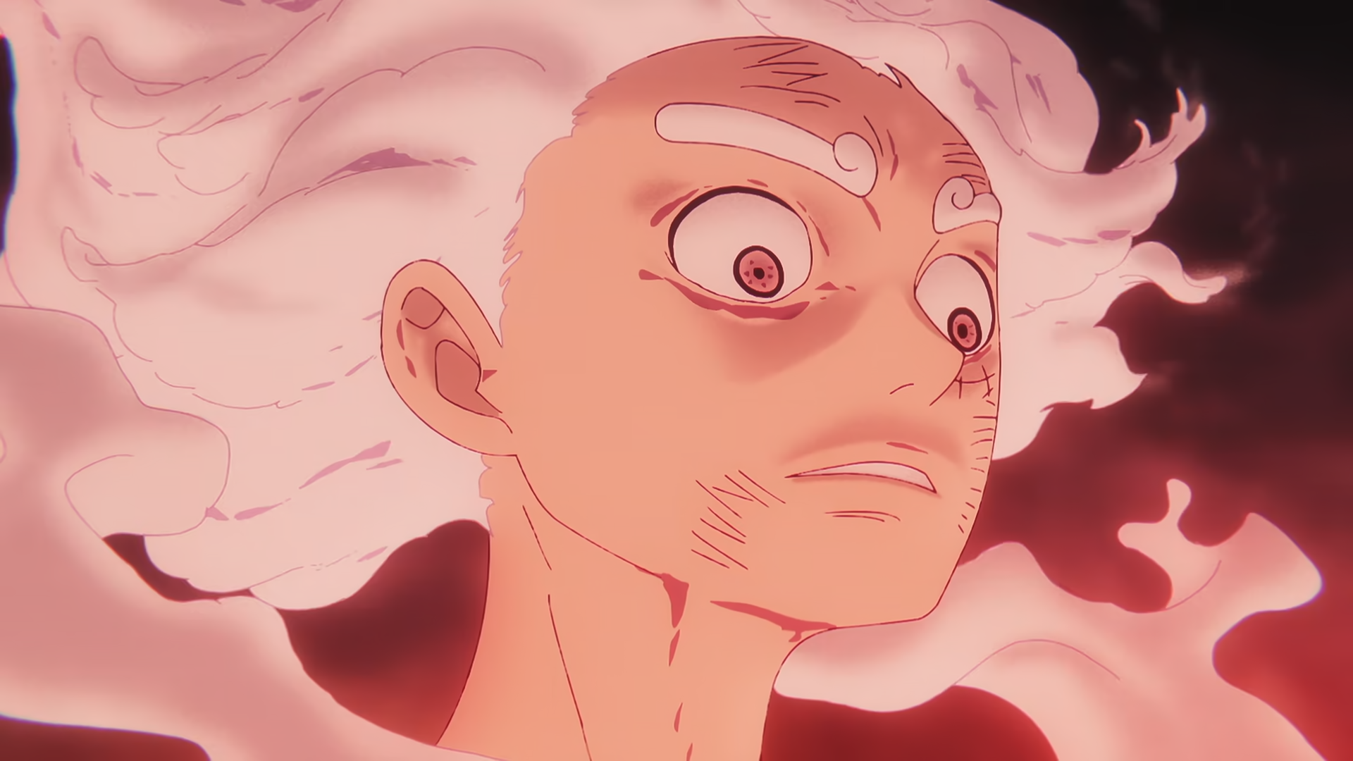 luffy - Ảnh 5.