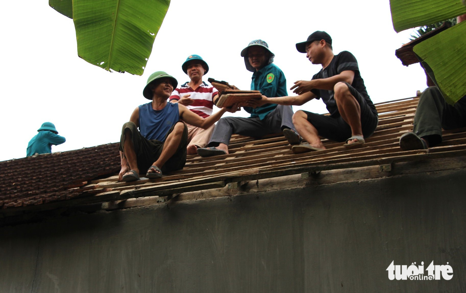 chất độc da cam - Ảnh 8.