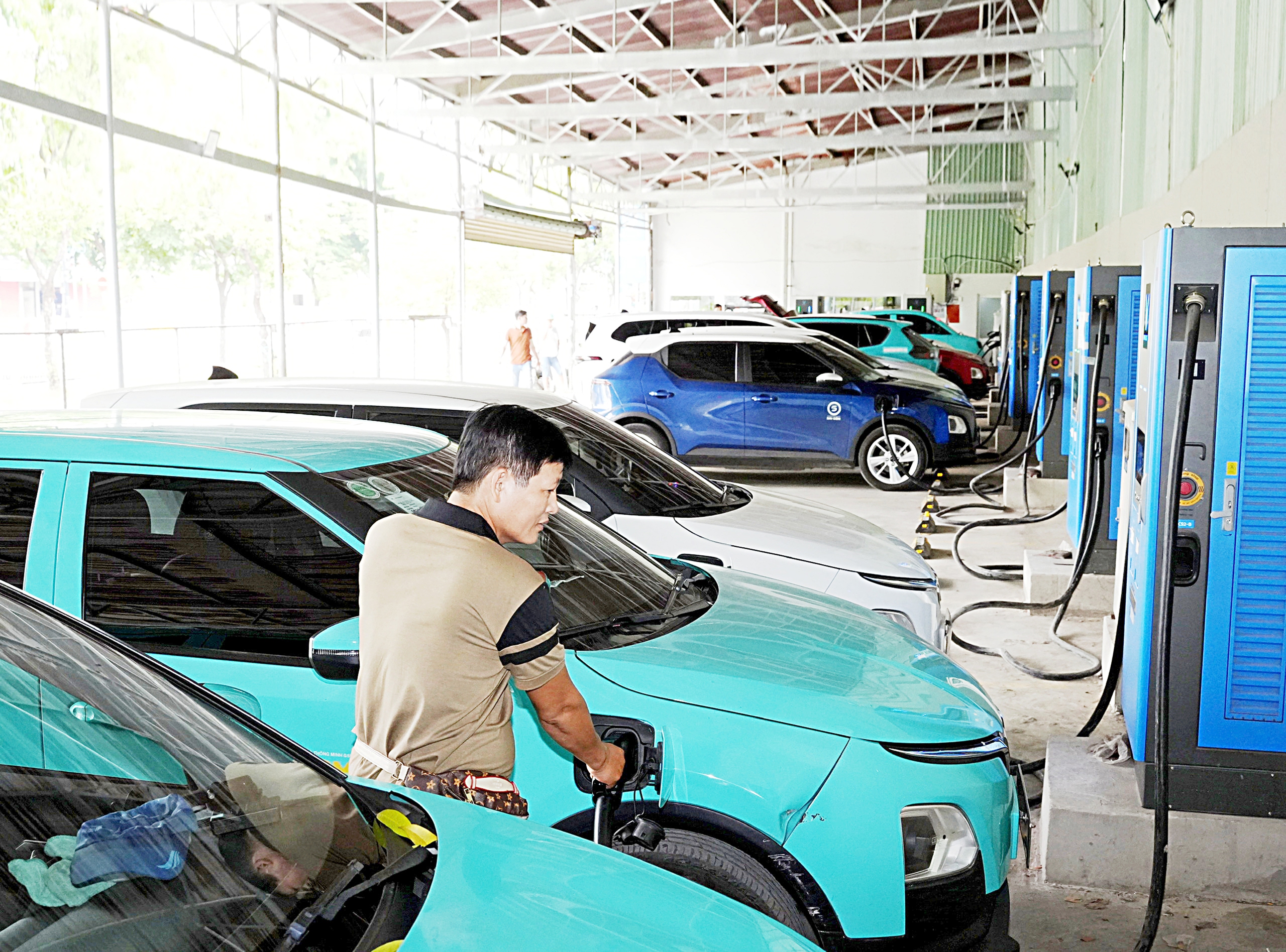 luật bảo vệ môi trường - Ảnh 1.