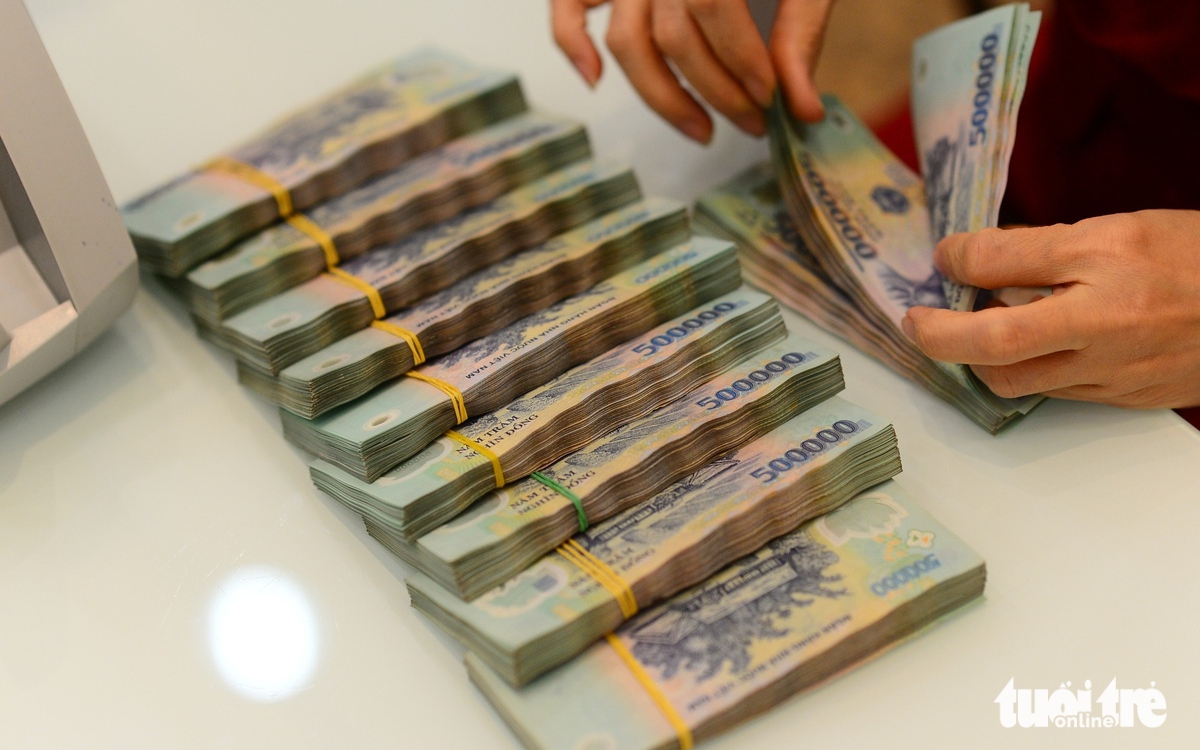 Vietnam household bank deposits top $400bn, outpace corporate funds- Ảnh 2.