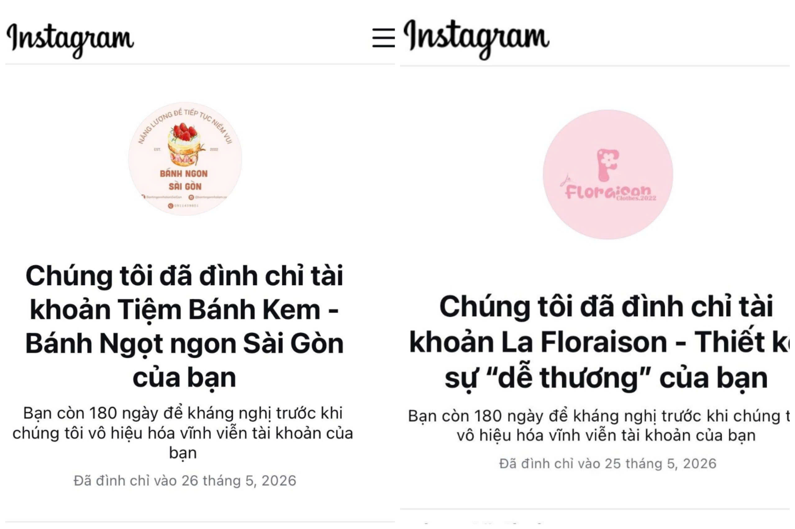 Hàng loạt cửa hàng 'biến mất' trên Instagram: Chuyện gì đang xảy ra? - Ảnh 3.