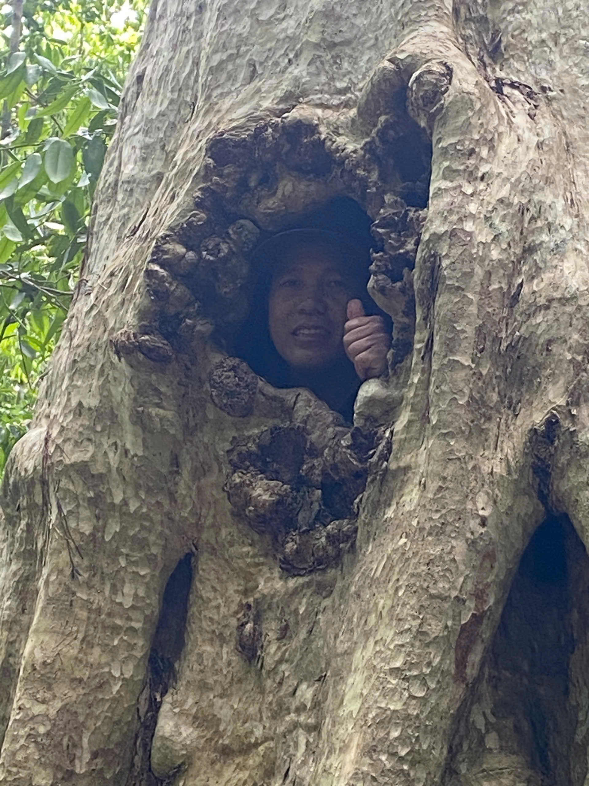 Cát Tiên - Ảnh 14.