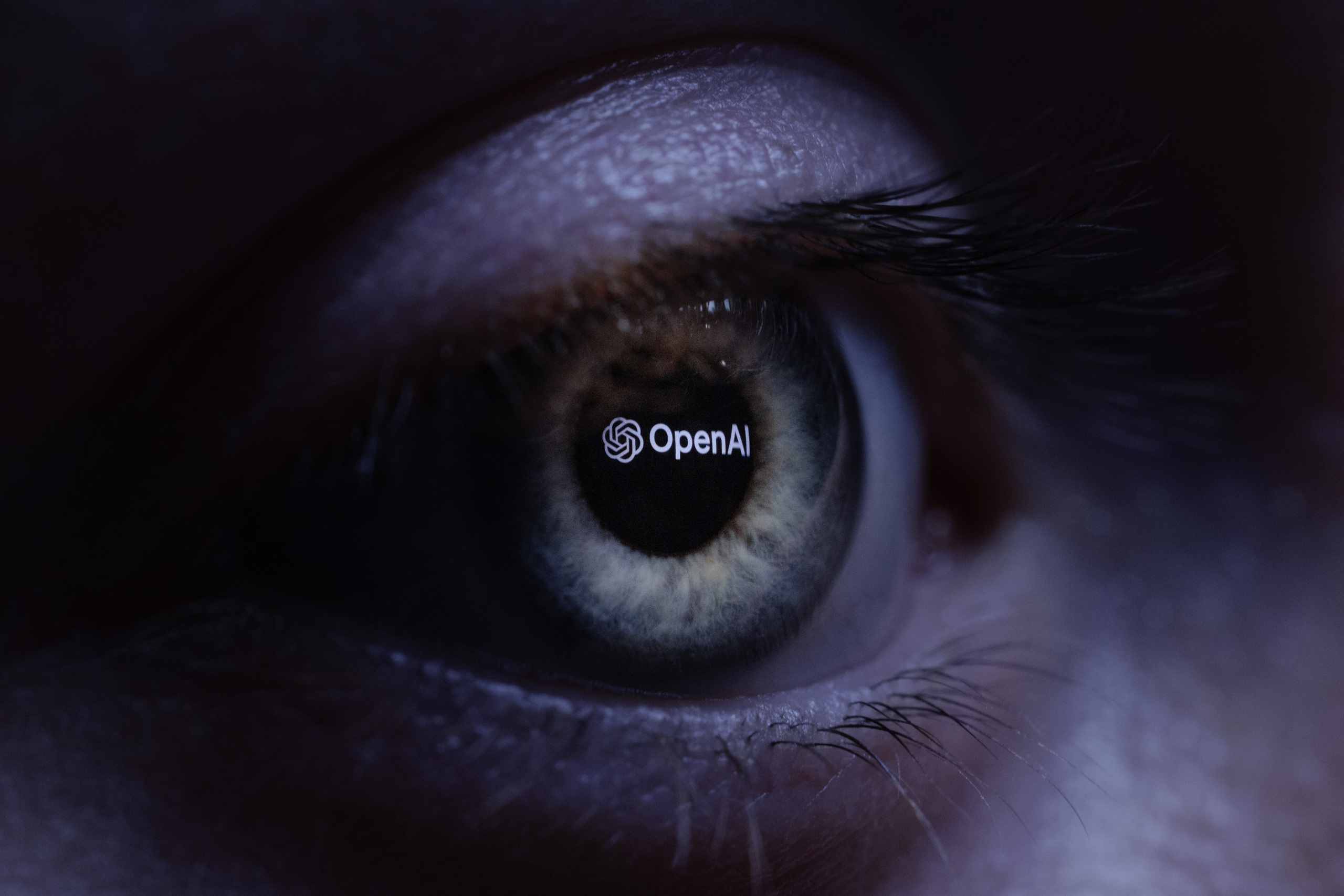 OpenAI Foundation chi 250 triệu USD hỗ trợ người lao động bị AI thay thế - Ảnh 1.
