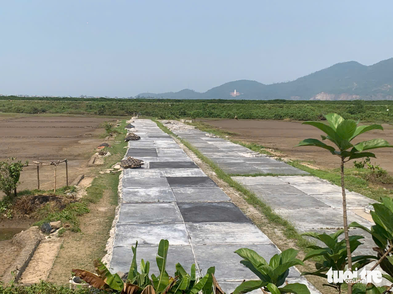 làm muối - Ảnh 6.