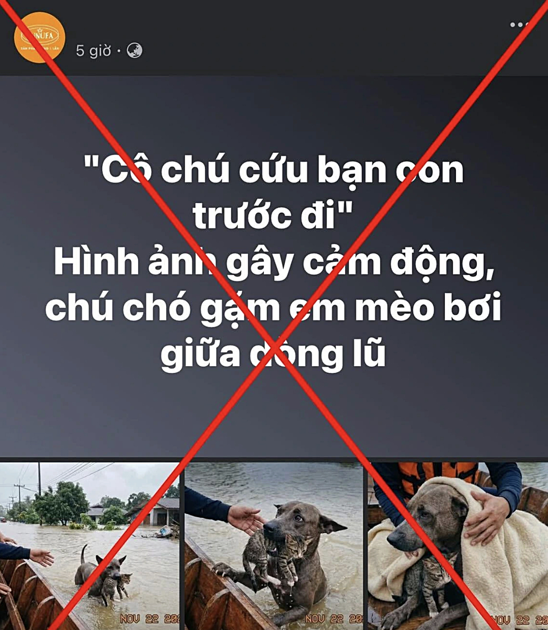 báo chí - Ảnh 2.