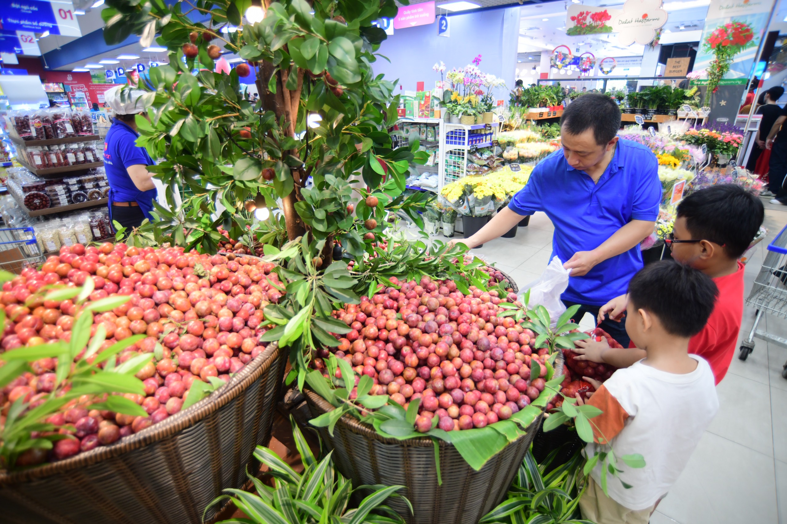 Saigon Co.op - Ảnh 2.