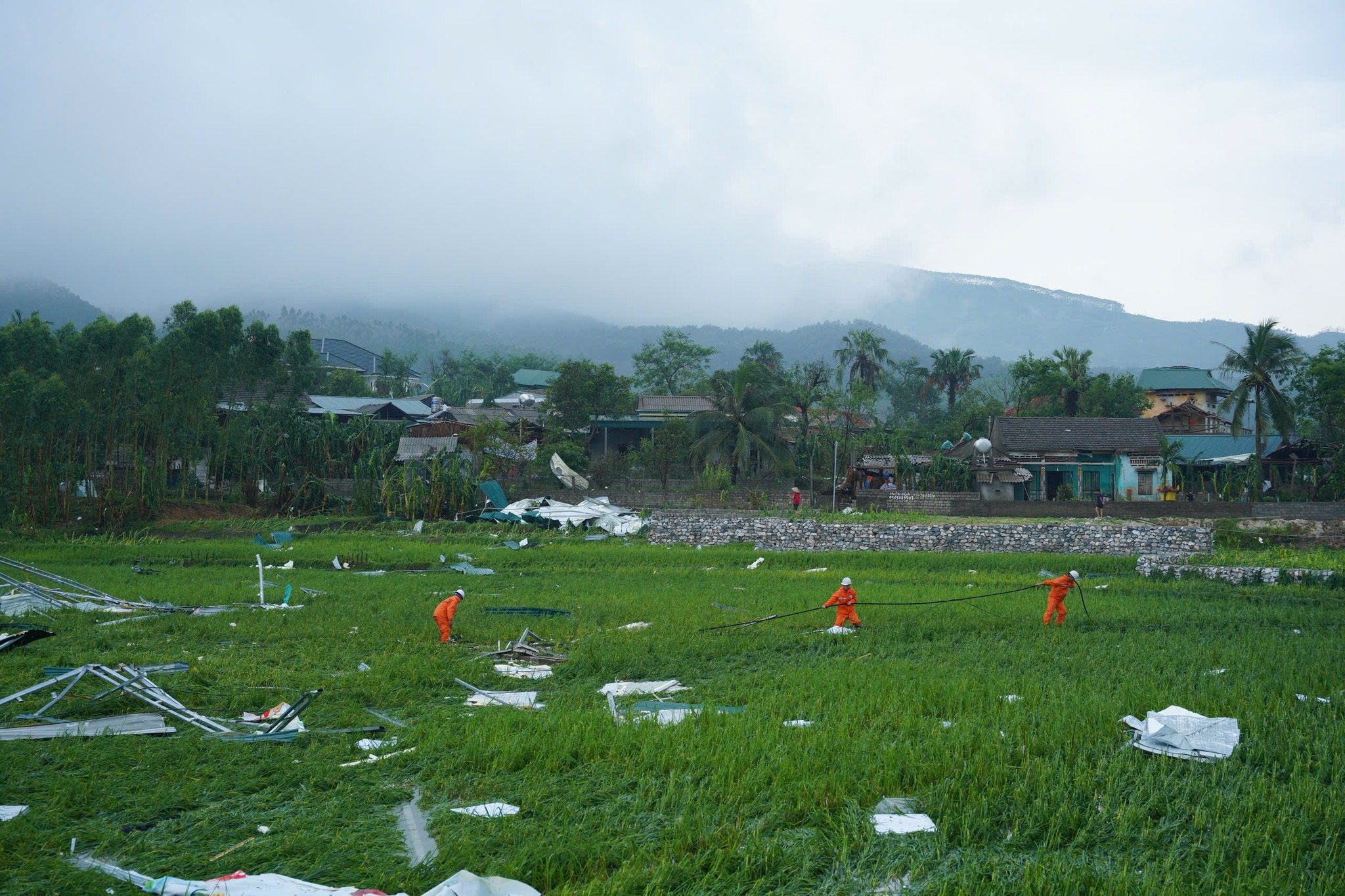 mưa rào - Ảnh 2.