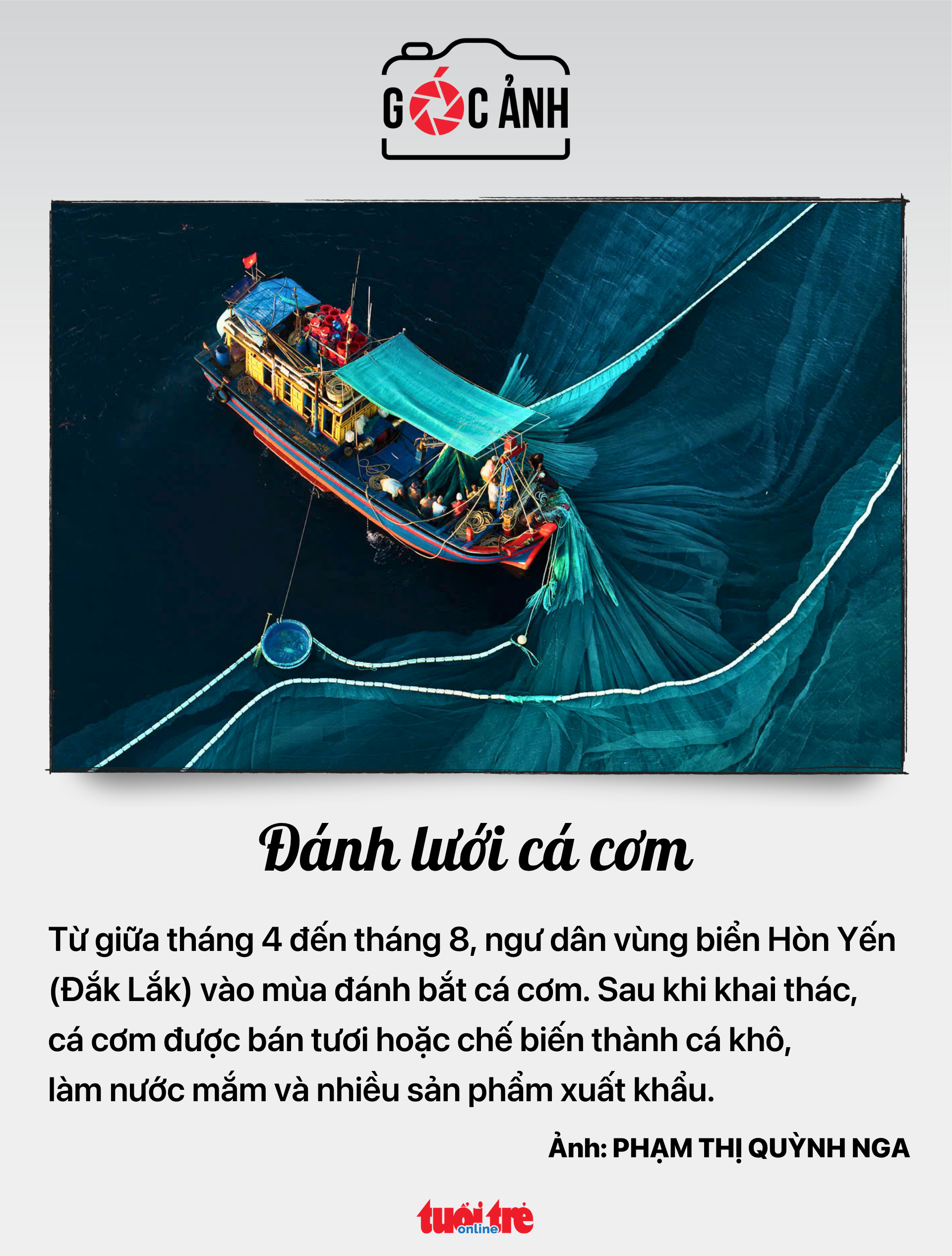 tin tức - Ảnh 6.