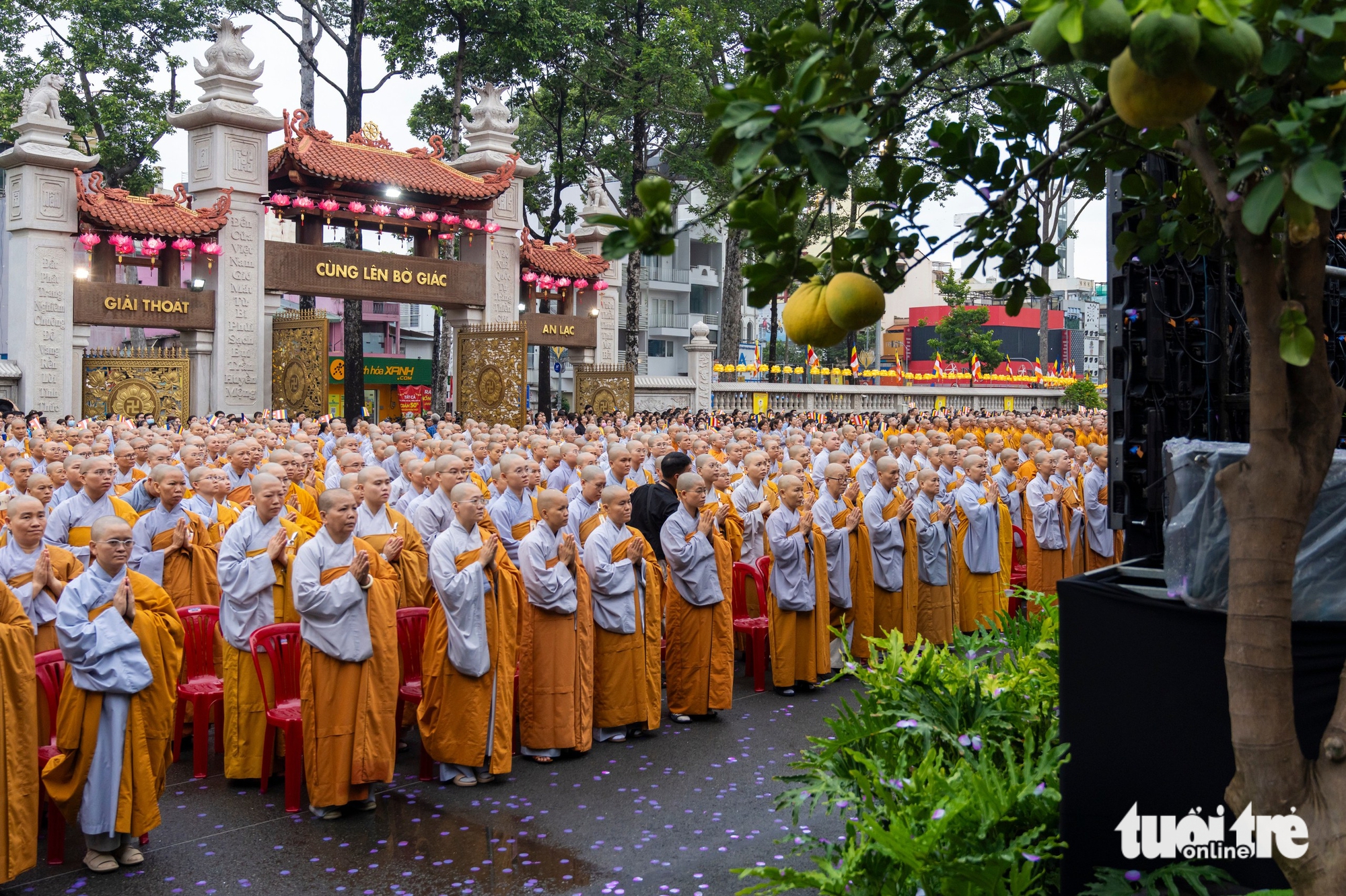 Phật đản - Ảnh 6.