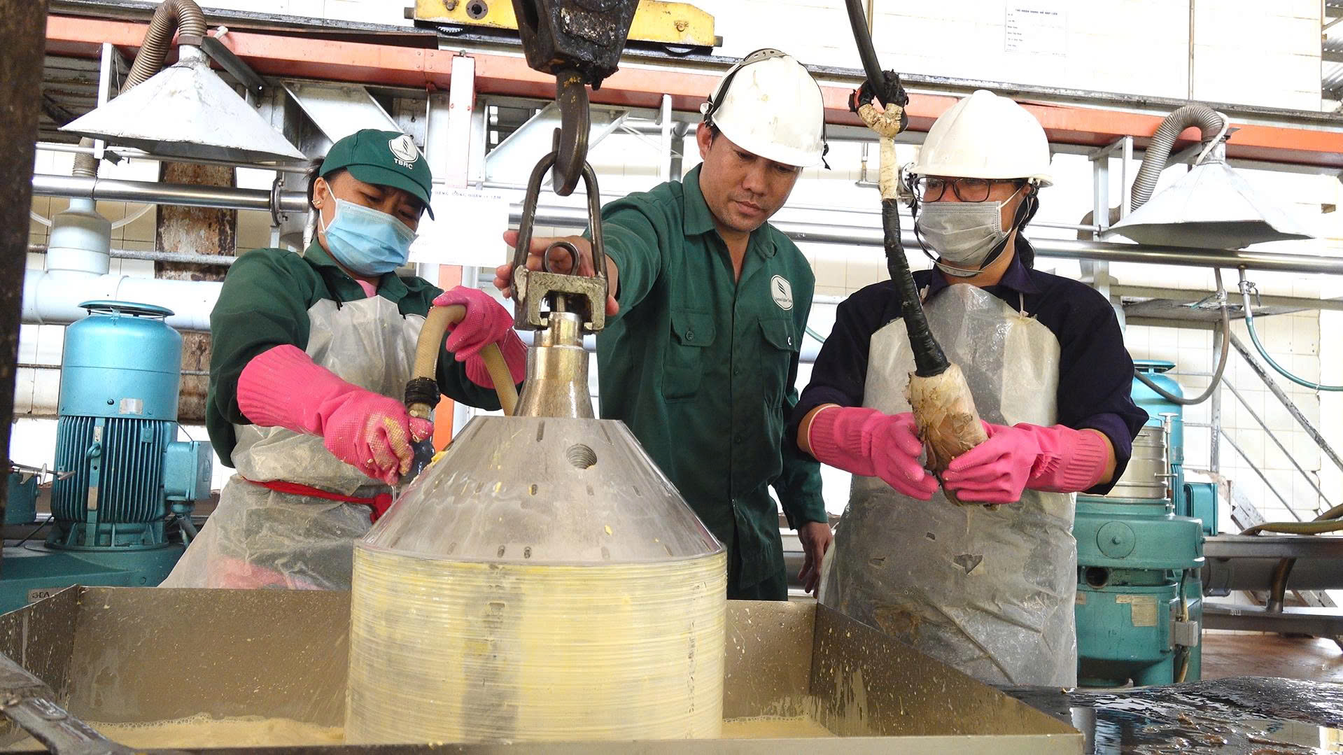 Công ty Cổ phần Cao su Tây Ninh - Ảnh 3.